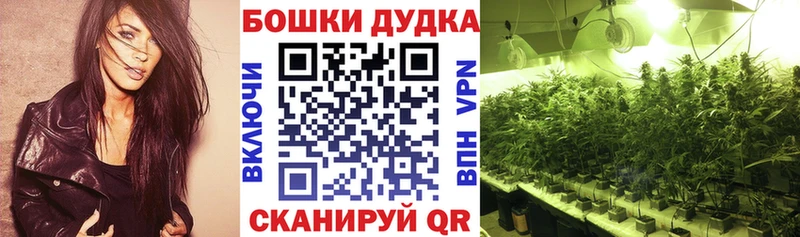 даркнет как зайти  Болохово  Марихуана Amnesia 